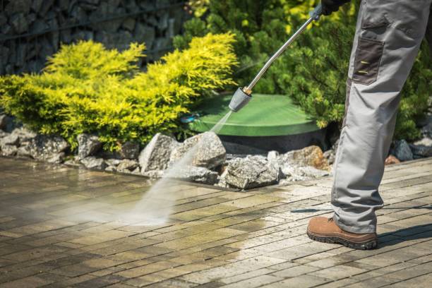 Best Soft Washing  in Kewaunee, WI
