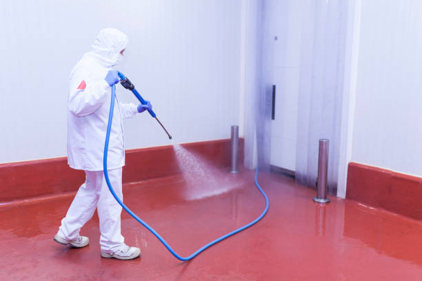 Best Roof Washing  in Kewaunee, WI
